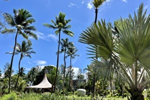 Lobby in tropical garden