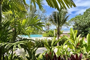 Lagoon Pool